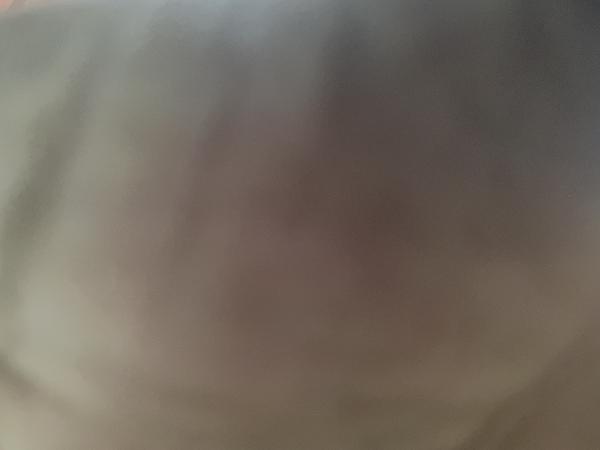 67ac0f430d534iNj086Ngoj1739329347.jpeg