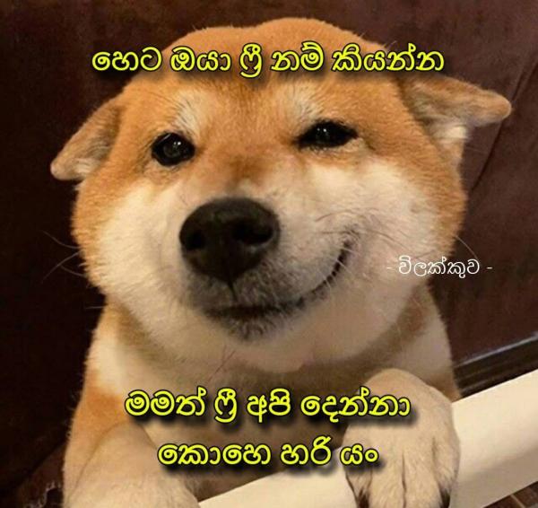 67af7ce3377d4MNXGWhdkyE1739554019.jpeg