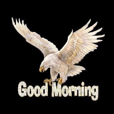 6839815444d40rB3qH5Bs5i1748599124.jpg